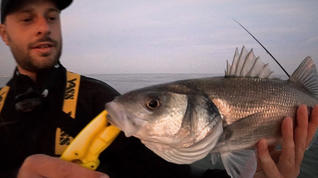 Lure Fishing for Bass at LOW TIDE in Worthing