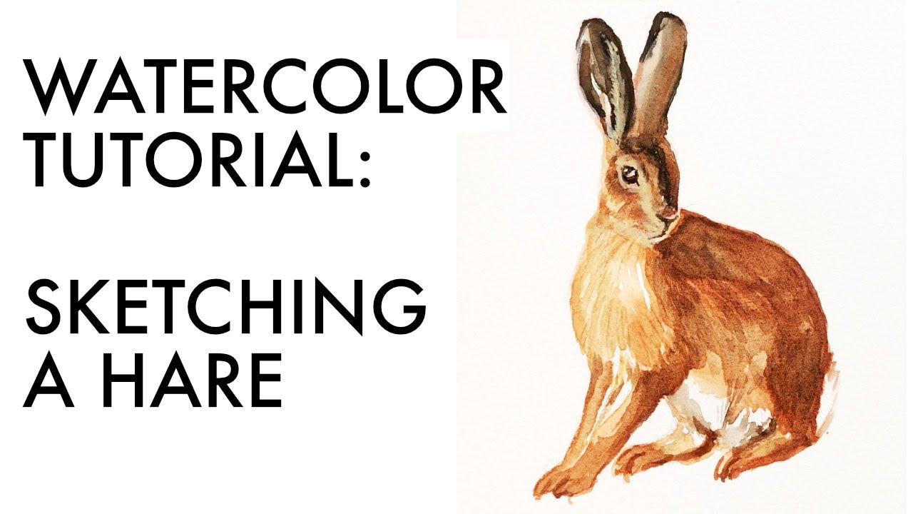 Sketching a hare in watercolor | fur painting tutorial