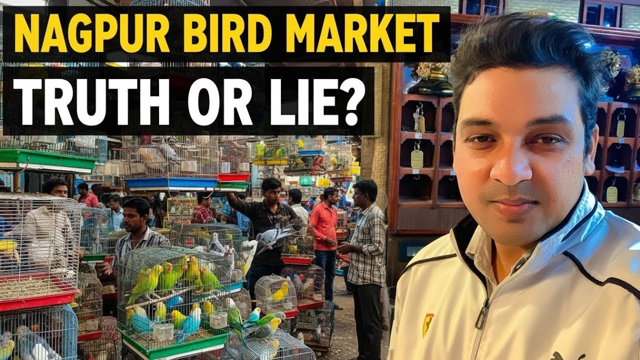 Inside Nagpur Bird Market: The Truth Nobody Tells You. 