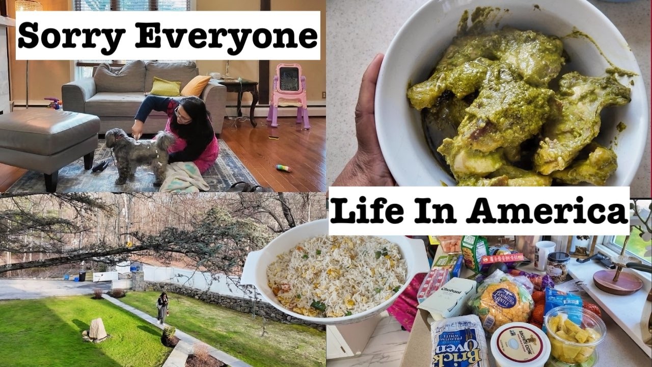 Sorry Everyone !!! | Random DIML Vlog | Mom of 3 Life In USA | Simple Living Wise Thinking