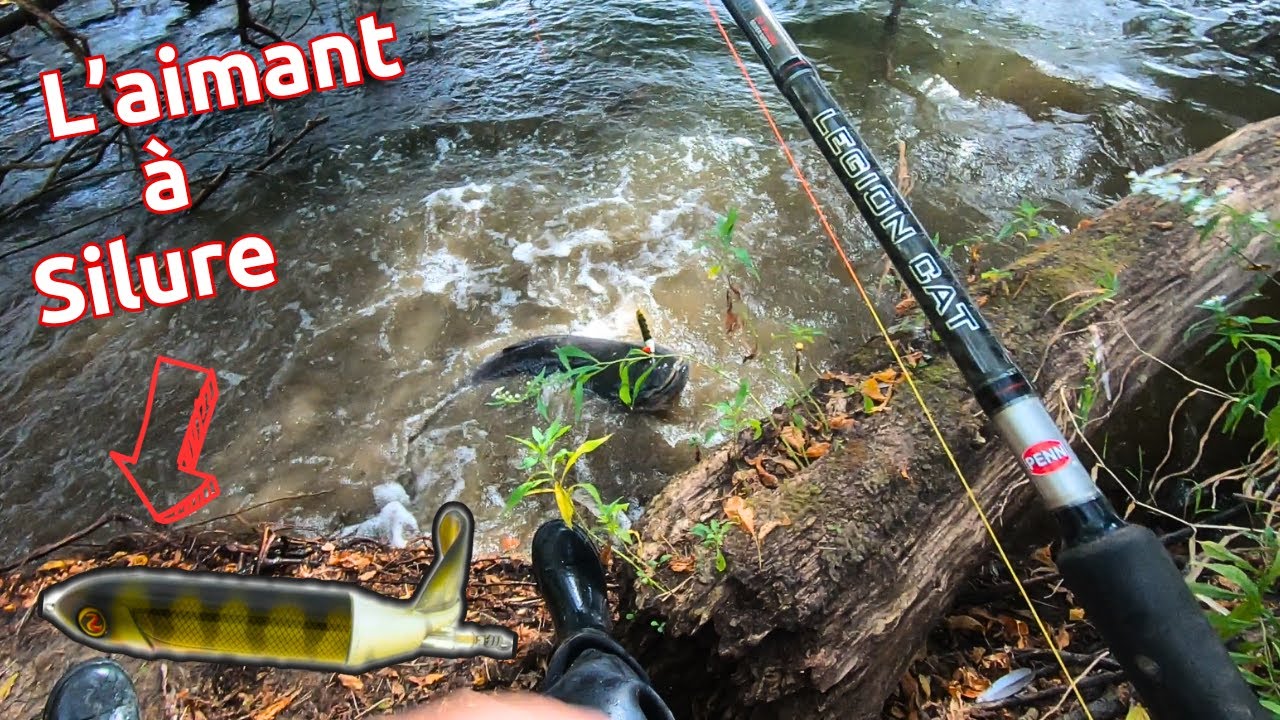 Session Silure au Whopper Plopper