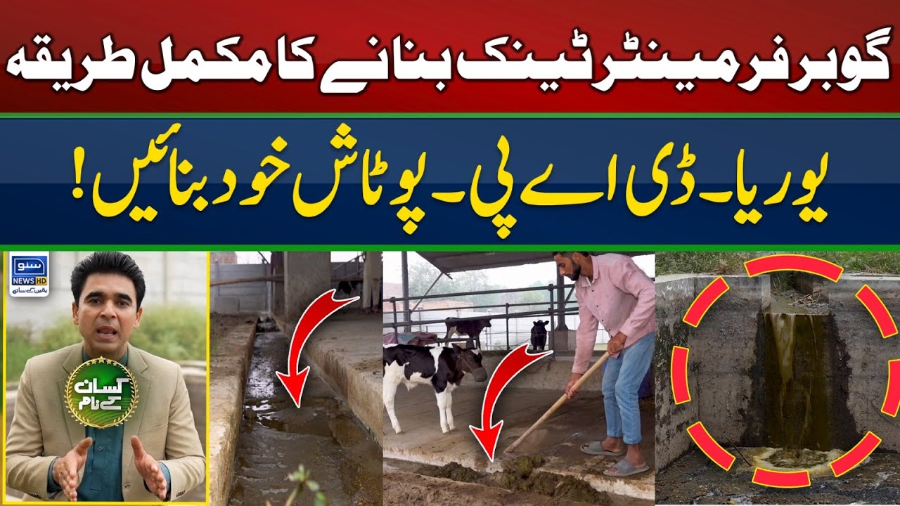 Manure fermenter digestor tanks | How to use farm yard manure | Kissan Kay Naam | Exclusive