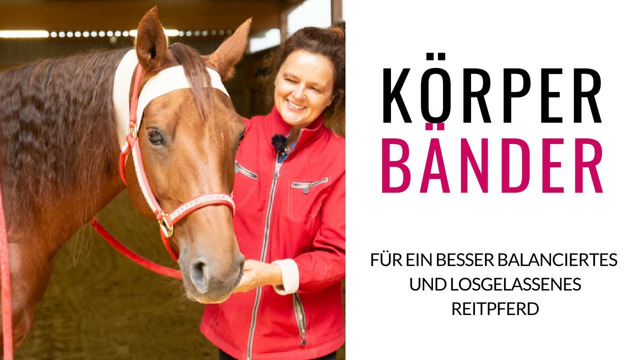 Körperbänder! Anke Recktenwald zeigt dir wie dein Pferd mehr Schwung und Losgelassenheit bekommt