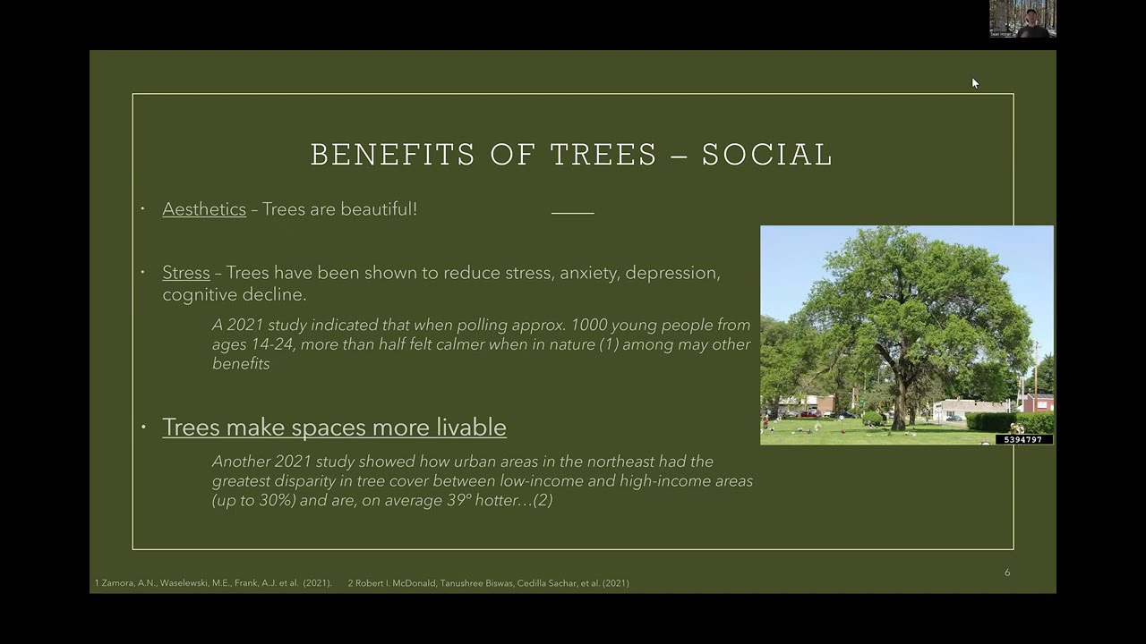 2026 Winter Lecture Series #1: Caring for Our Trees: The Importance of an Urban Canopy