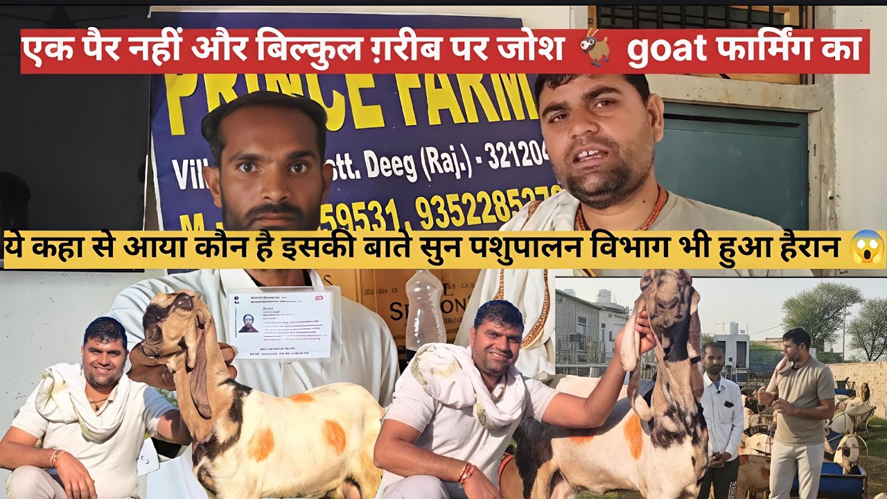 एक पैर नहीं और बिल्कुल ग़रीब पर जोश 🐐 गोट फार्मिंग💯👍 राधे राधे 🙏
