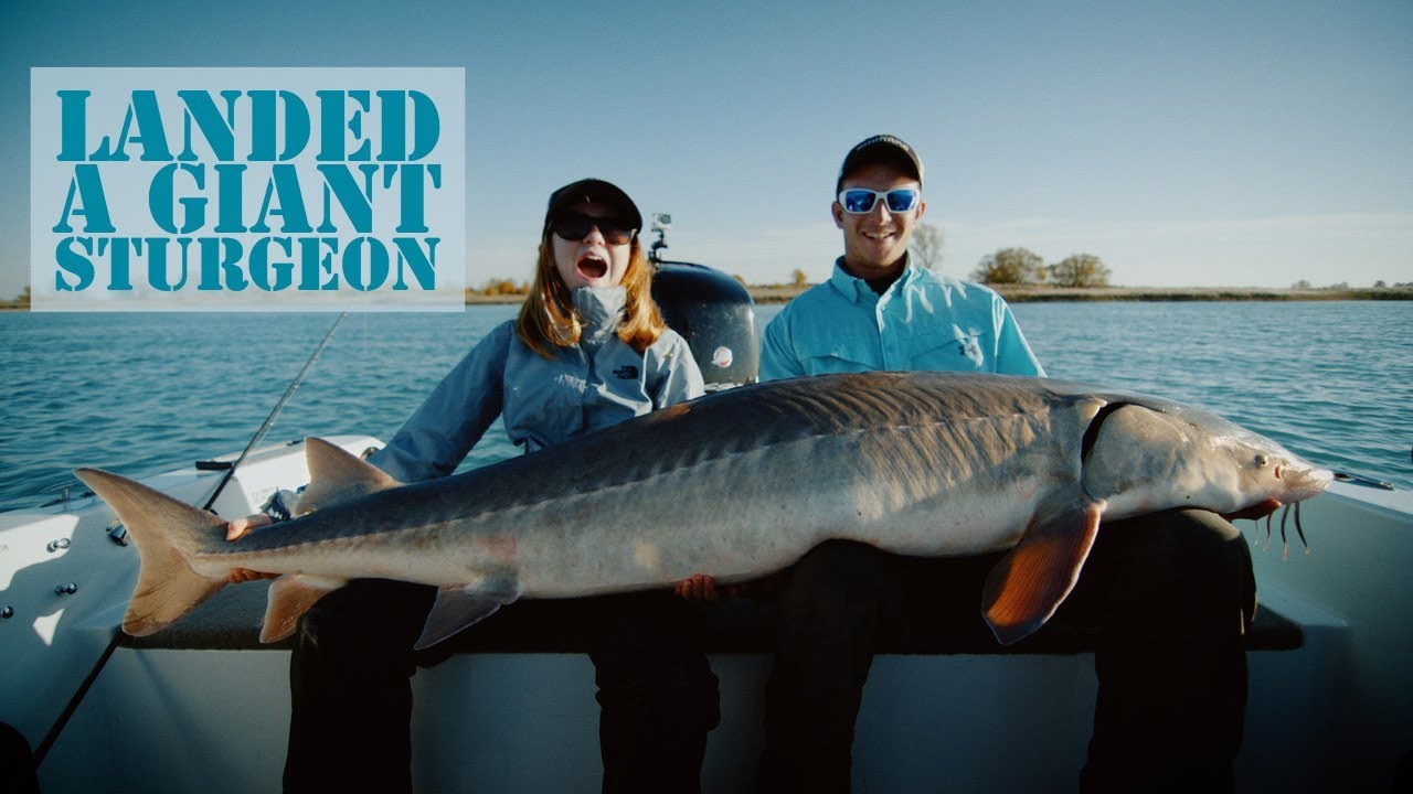 Fishing for MONSTER Sturgeon