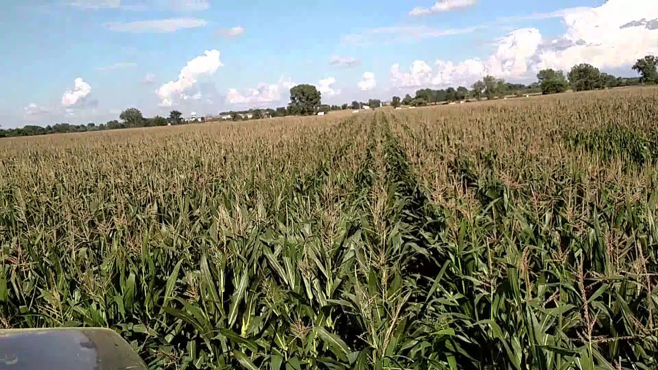 360 Y Drop with Hagie and Optrx on Twin Row Corn
