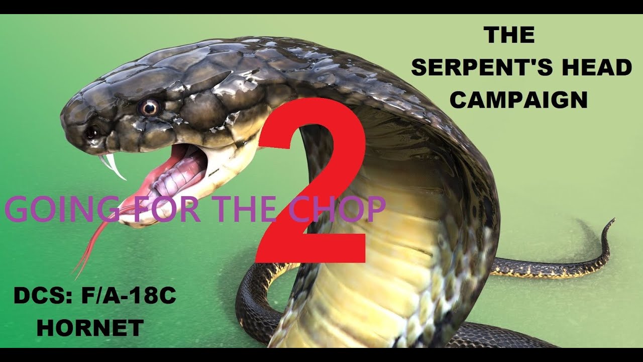 Mission:04「GOING FOR THE CHOP」【DCSWorld】The Serpents Head 2