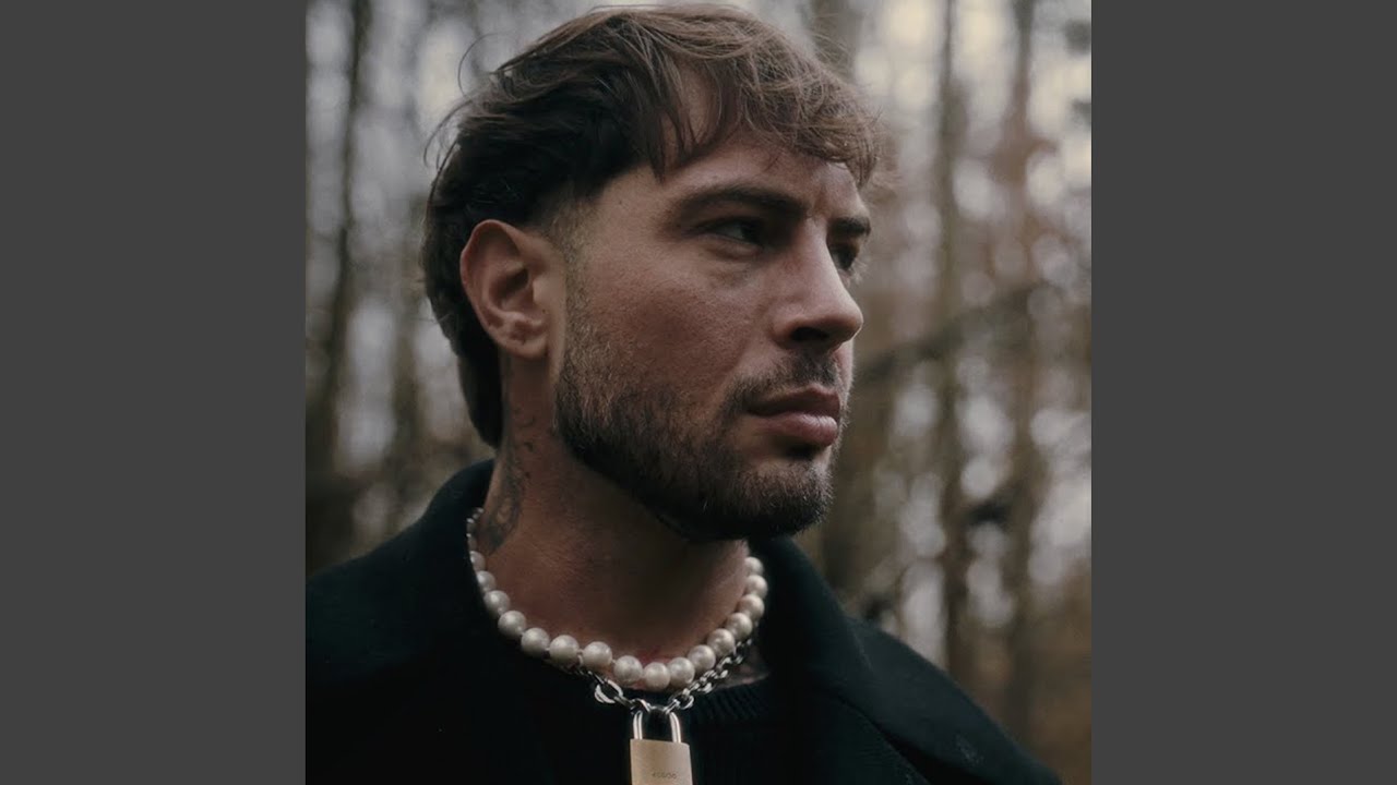 Malý princ (Cover)