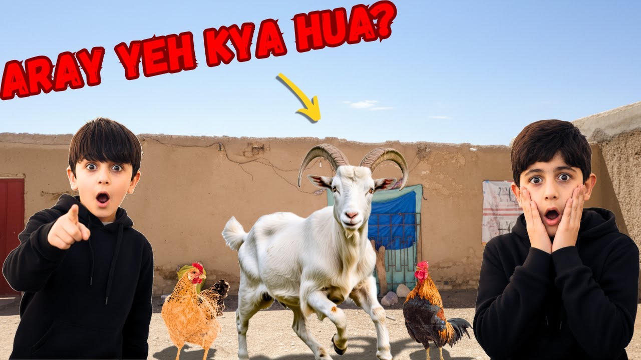 Bakri Bhaag Gai 😂🐐
