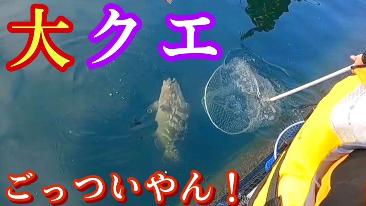 【海上釣堀・海恵】「釣りガチャ生簀」で夢の高級魚を狙う❣️