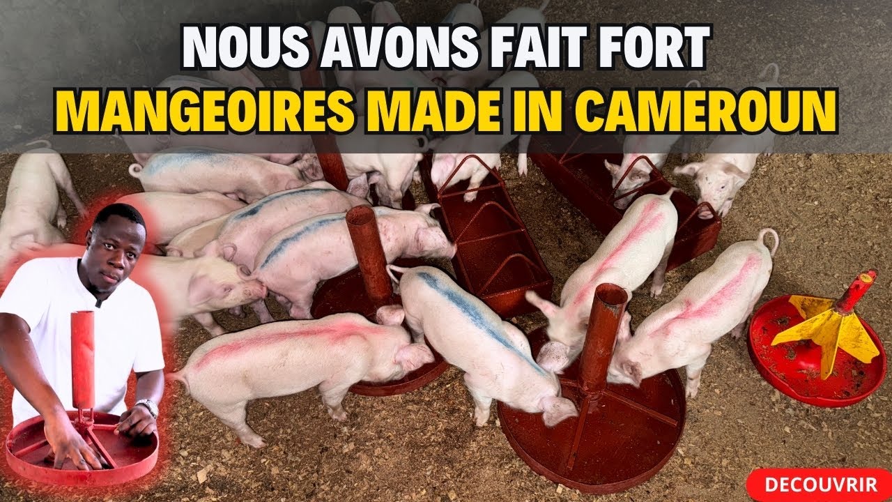Plus aucun doute, L'Afrique va me rendre milliardaire. REGARDEZ !