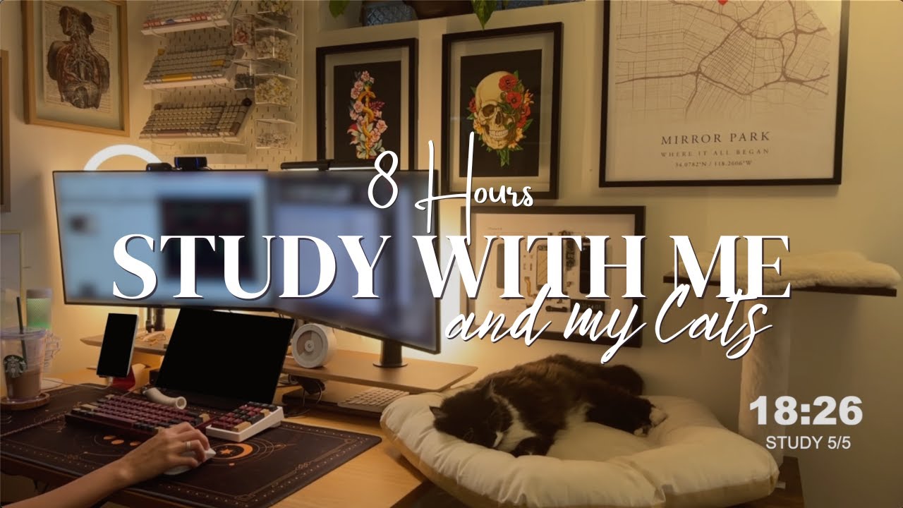 8 HOURS | STUDY/WORK WITH ME & MY CATS | Background Noise + Fireplace | 50/10 Pomodoro