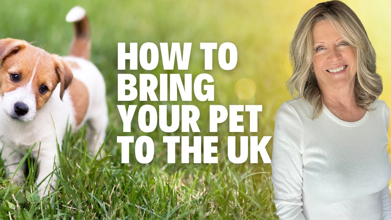 Can You Bring Pets into the UK?
