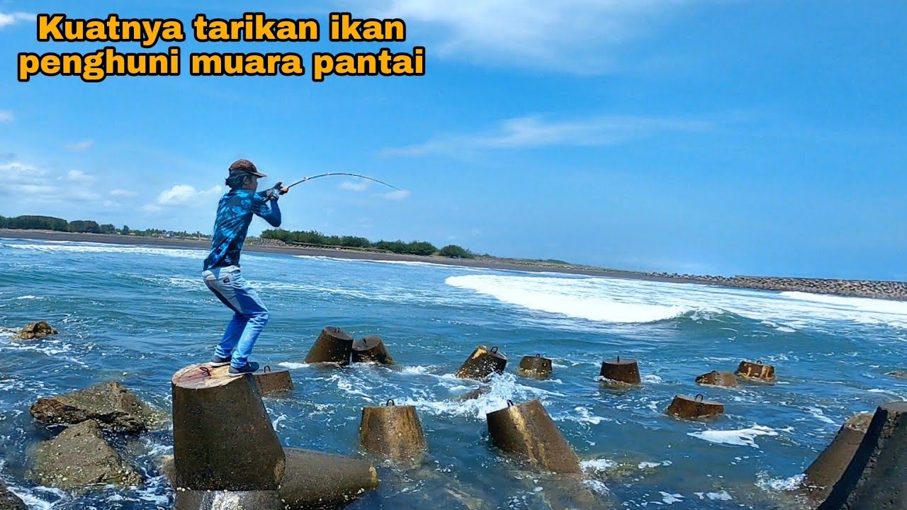 Spot mancing idaman,cuma dari pinggiran tapi ikannya besar2 semua