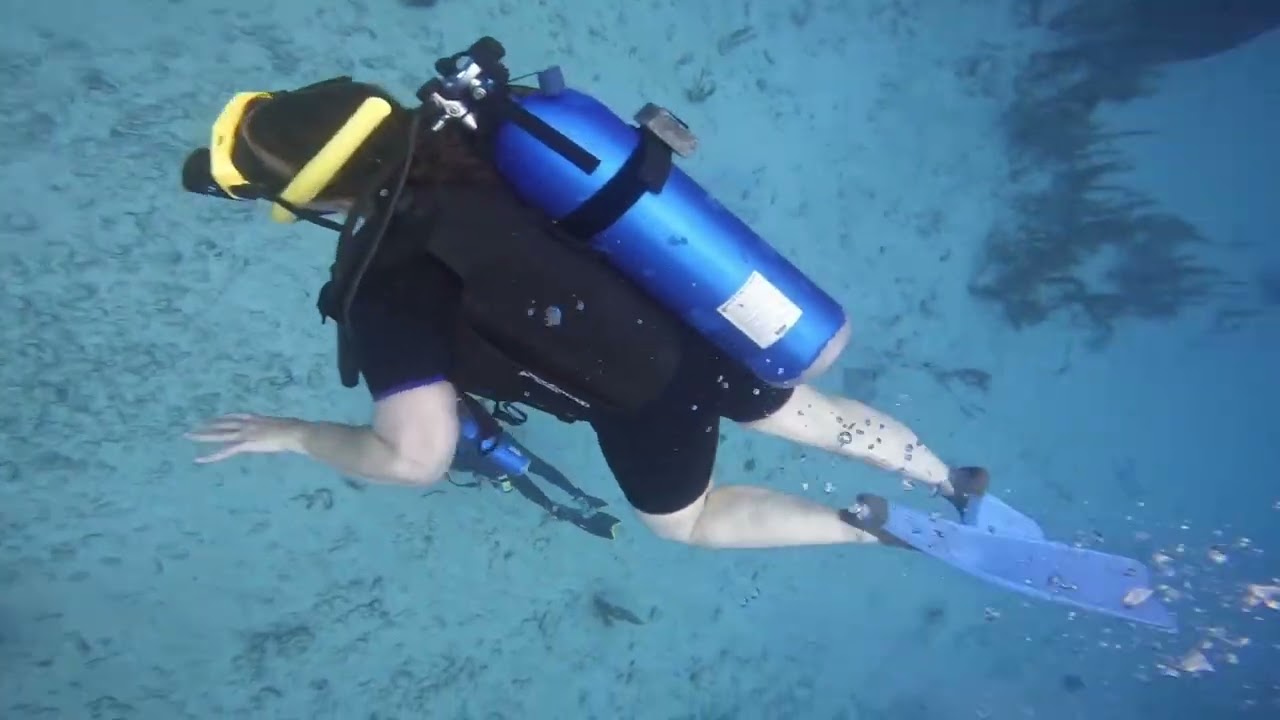 Tina and Troy Wreck Dive 1 Grand Cayman 2-4-26 