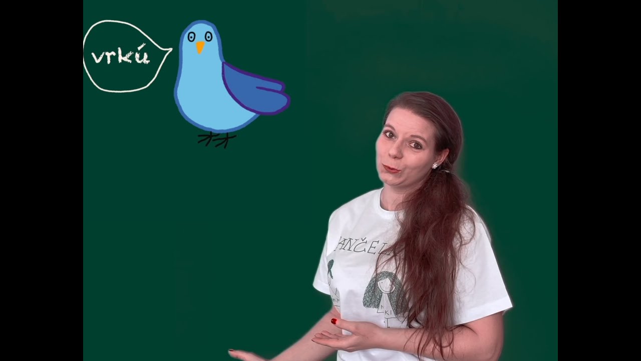 Pančelky - Správné psaní ú/ů (..aneb jak se rozhodnout, kde napsat čárku a kde kroužek)