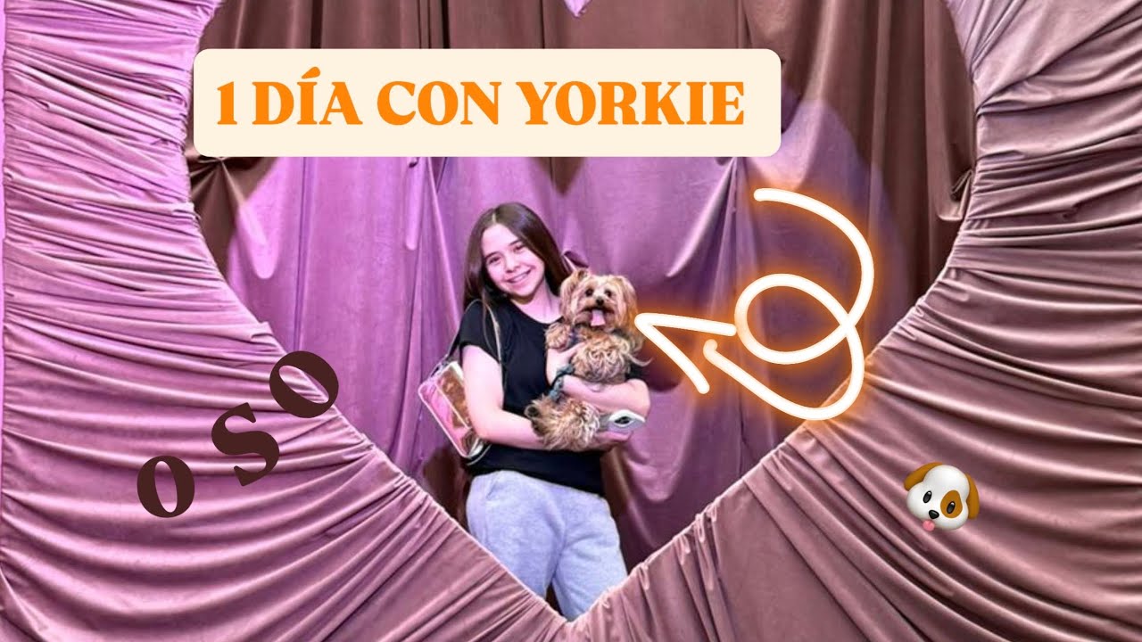 1 DÍA CON PERRITO YORKIE, VLOG / yo soy VereNat