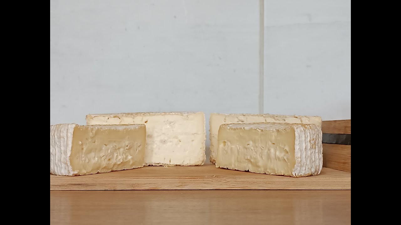 Ser Cambozola / Cam blue cheese – 