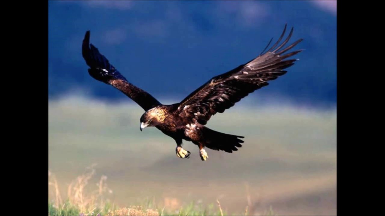 Milaim Mezini - Dëshmorët e Kotlinës