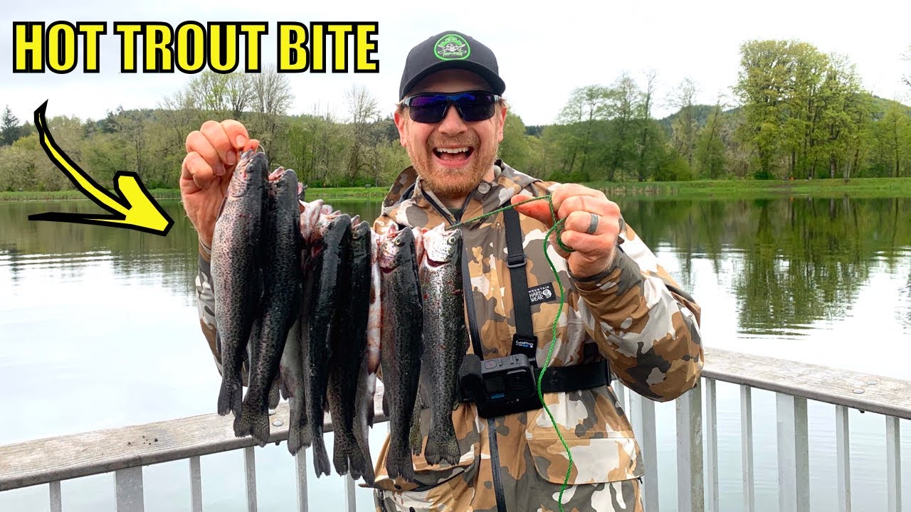 Stocked Trout Fishing with Berkley Micetails & Power Eggs (Fishing After Massive Storm)