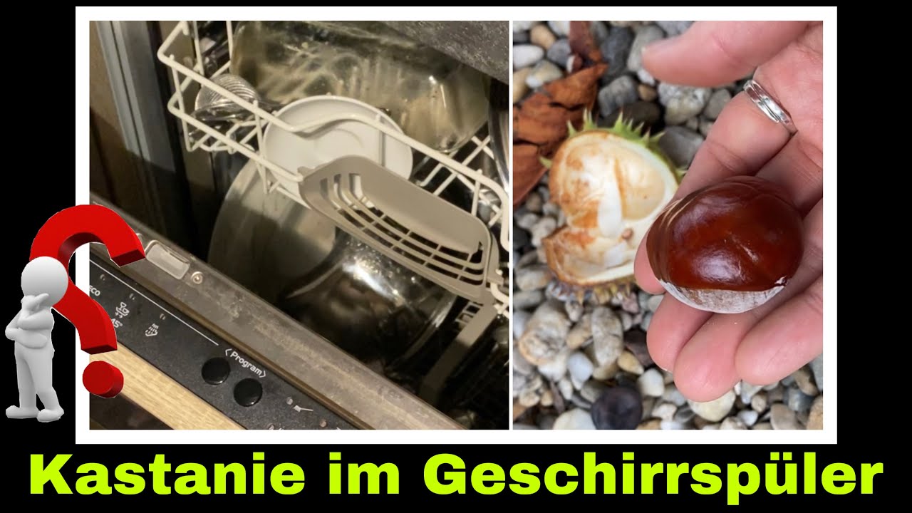 Spülmittel aus Kastanien im Geschirrspüler | Experiment: DIY Geschirrspültabs | Selbstversorgung