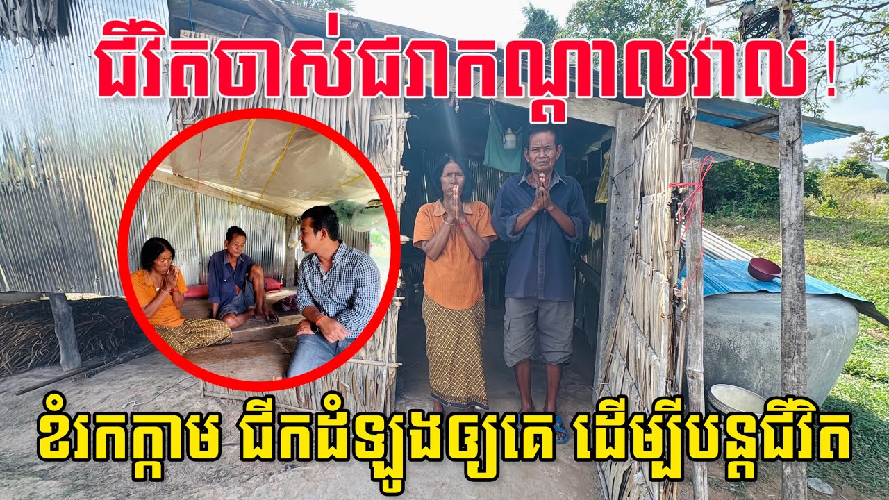 ជីវិតលំបាកណាស់! យាយតាពីរនាក់រស់នៅខ្ទមបាក់បែក រំពឹងតែដើររកក្កាម និងជីកដំឡូងឲ្យគេដើម្បីរស់ 😢