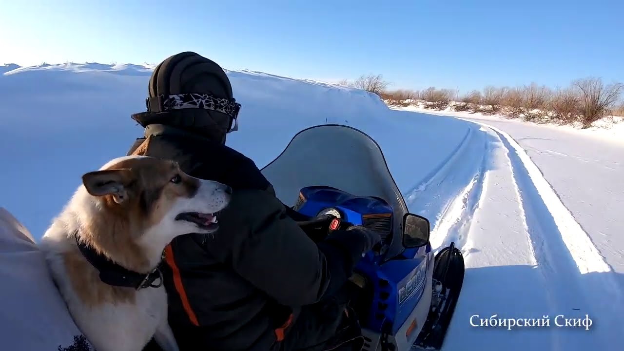 Снегоход Arctic Cat Bearcat WT 660 Turbo