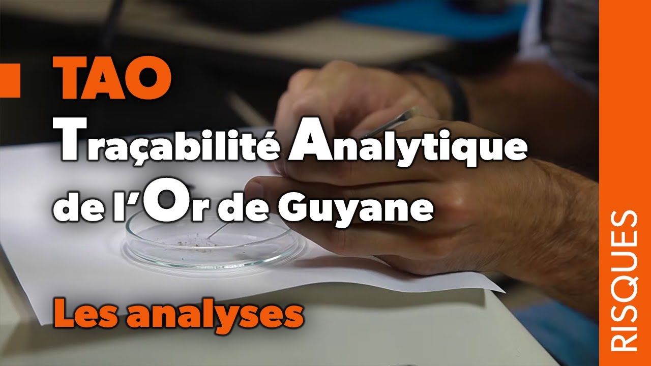 TAO (Traçabilité analytique de l’or de Guyane) - Les analyses
