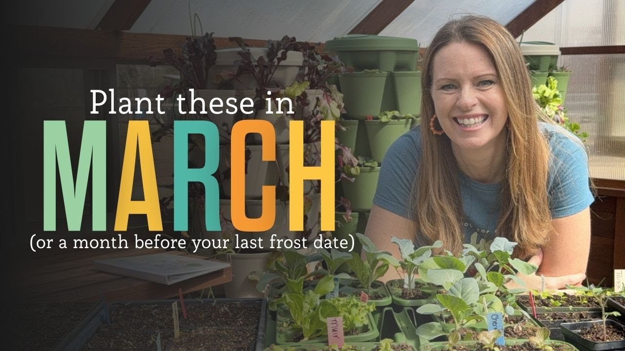 Everything I’m Planting in March + Filling New Raised Beds!