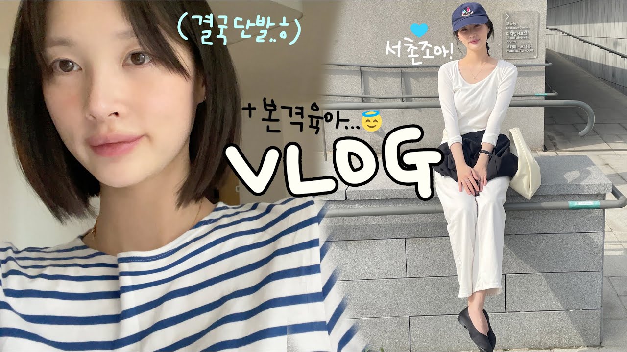 [vlog]본격 육아 시작!(디제이 휴직/엽떡 왤케 매운건데/결국 단발로..😇/갈쿡 집밥/파스타와 샌드위치/비빔국수 대패삼겹살/서촌 데이트/시바견 택이)