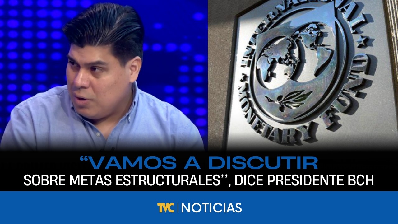 “Vamos a discutir sobre metas estructurales (Con FMI)’’, dice presidente BCH, Roberto Lagos