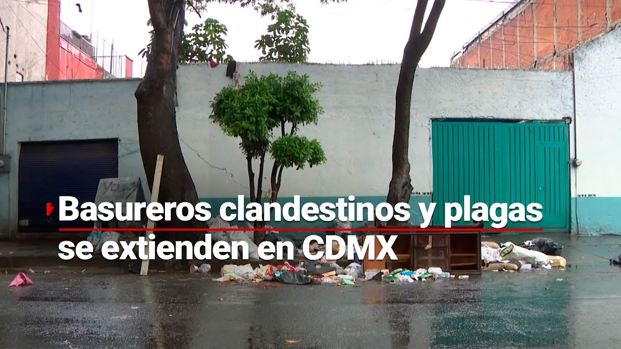 #CDMX | Basureros clandestinos LLENAN de desechos a la capital; provocan plagas y encharcamientos