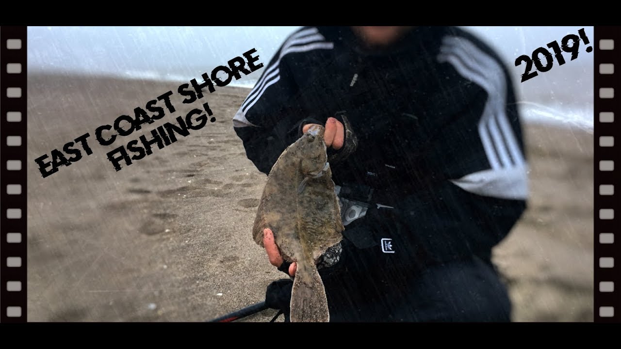 Shore Fishing UK 2019! - Fish Caught On The East Coast!