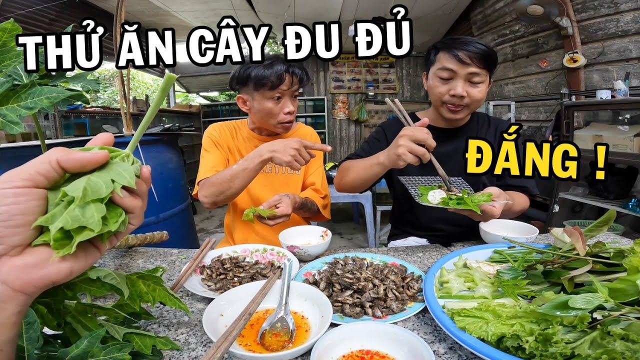 Ông chủ trại cá Betta ăn thử cây Đu Đủ với món cá Rô Bí chiên giòn cuốn bánh tráng