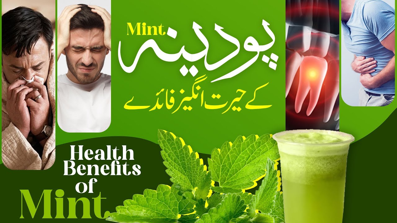 Sar Dard , Dant Dard Aur Nazle Zukam Se Nijat | PUDINA Ke Fayde | Health Benefits Of Mints