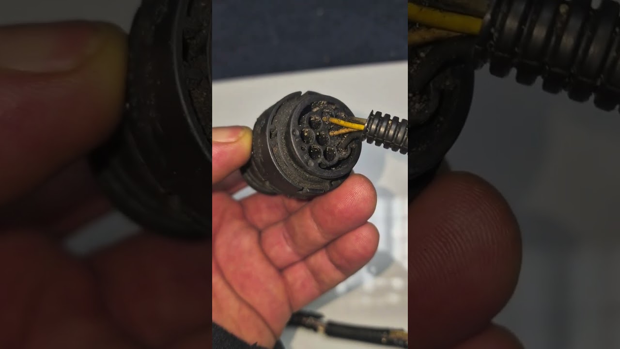 Trans Failsafe Prog. BMW e38 e39