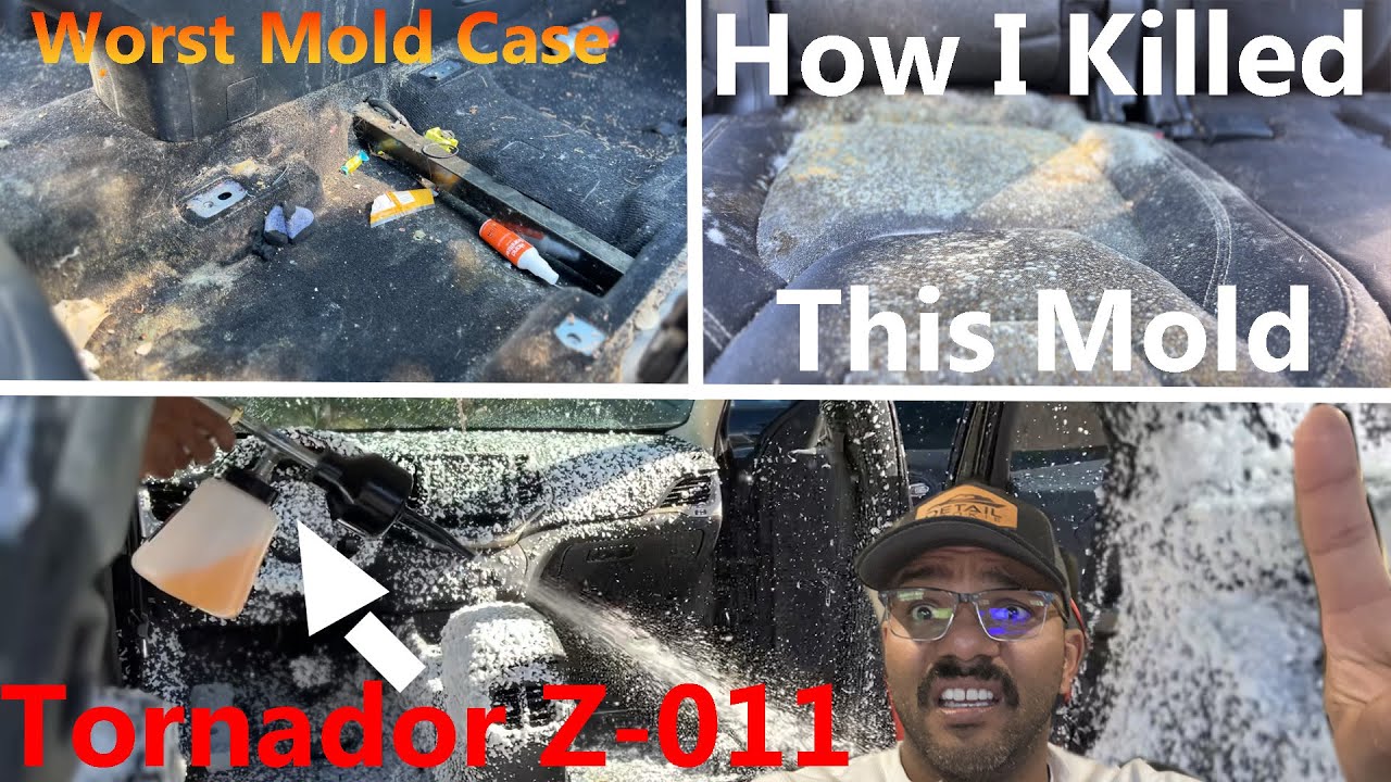 This Jeep Was Destroyed By Mold: How to Fix Mold Issues in Your Vehicle