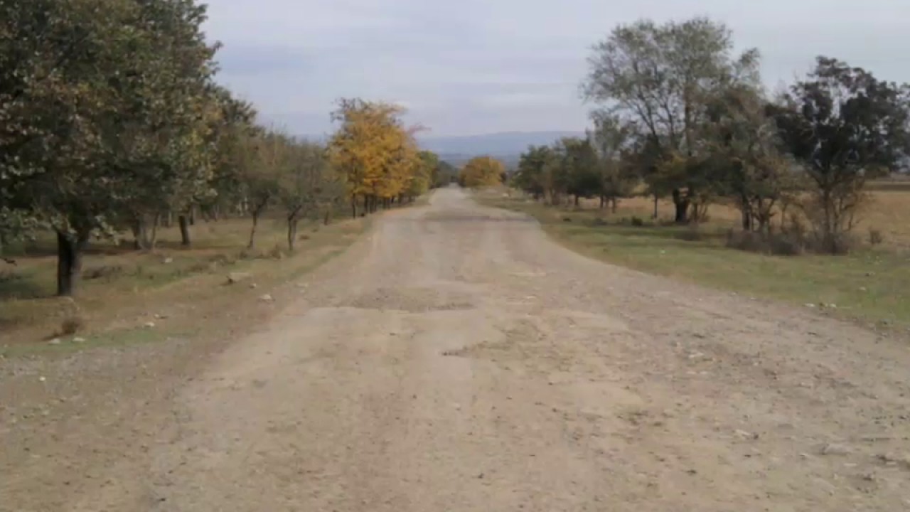 Kamandar Letifoglu