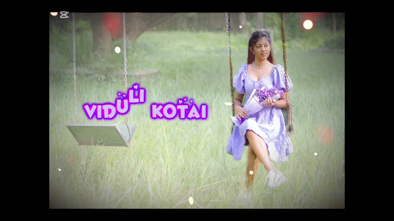 Viduli kotai | slow version 