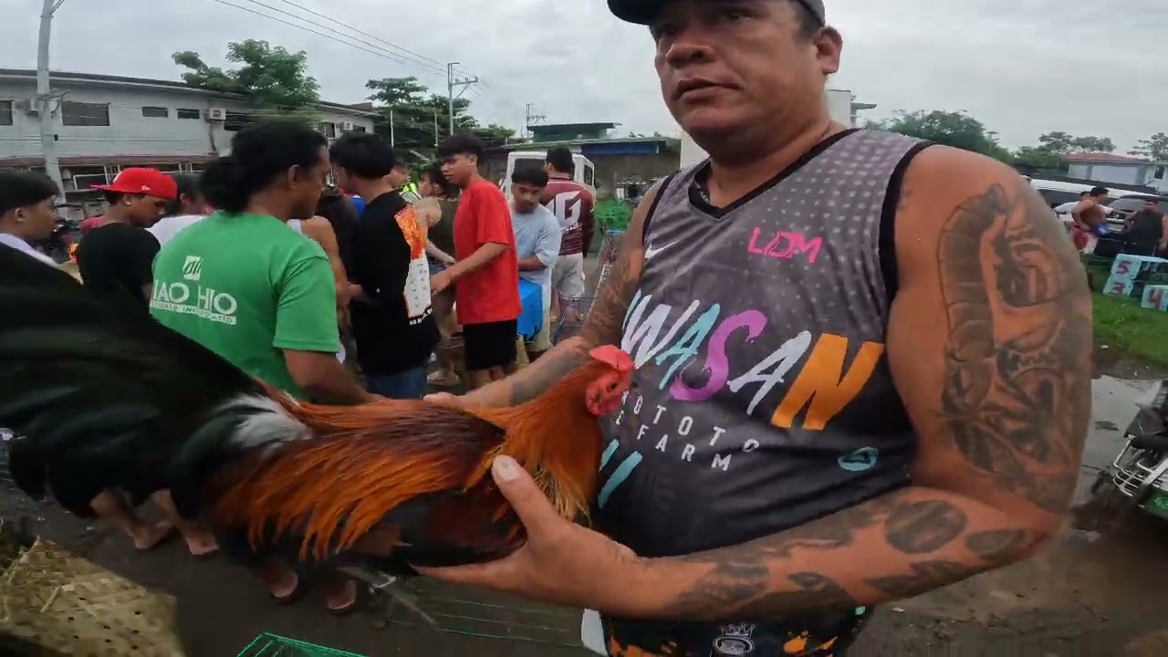 Andaming kanawayon ai boss joey bocaue pet market , August 29 2025 friday .
