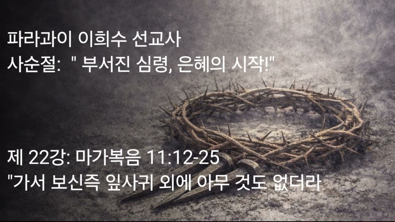 2026 03 19 제 22강 마가복음 11 12 25 가서 보신즉 잎사귀 외에 마무 것도 없더라