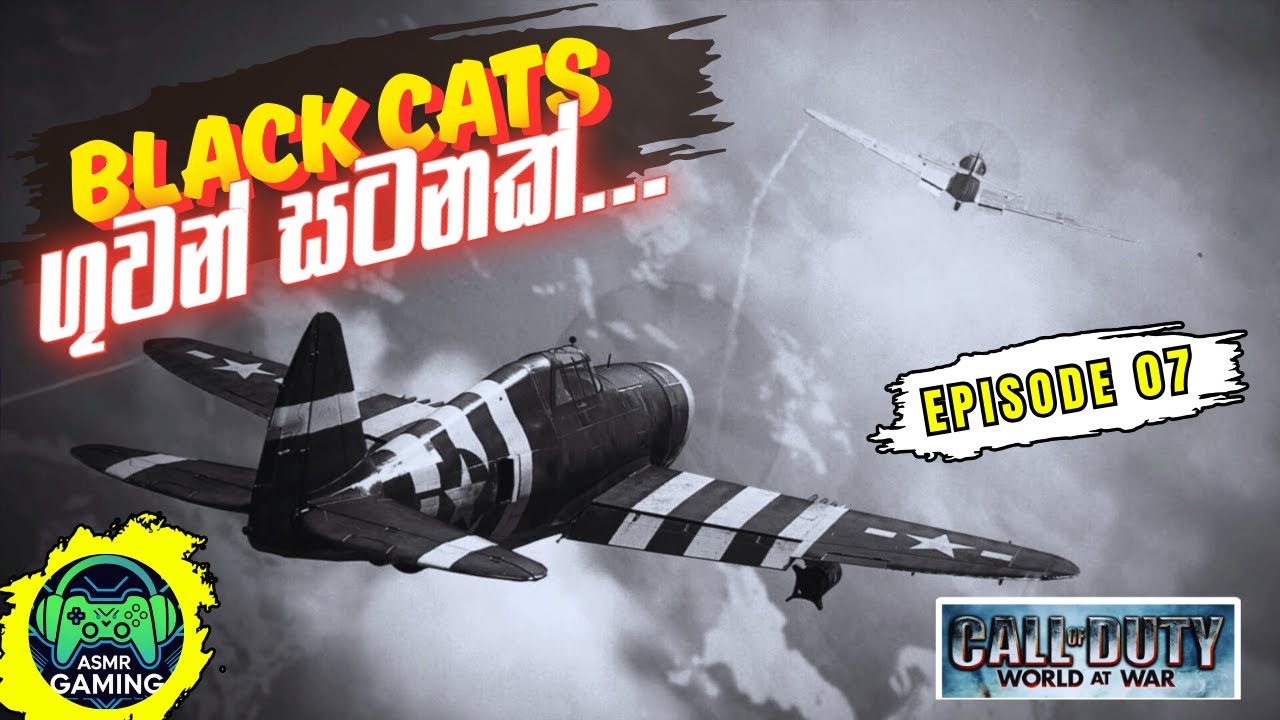 ගුවන් සටනක් | BLACK CATS |COD WORLD @ WAR | EPI 05 🎮✈️🤪😉🫰#asmr #gaming #games #callofduty #cod #war