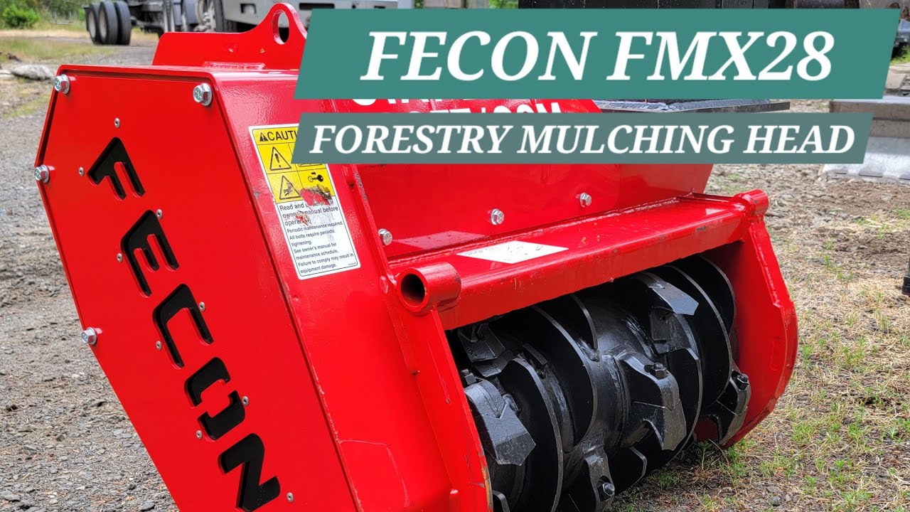 Clearing Himalayan Blackberries with Dan Wehmeier @FeconLLC