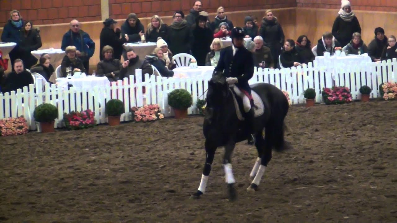 Don Index Stallion Show Wickrath 2015