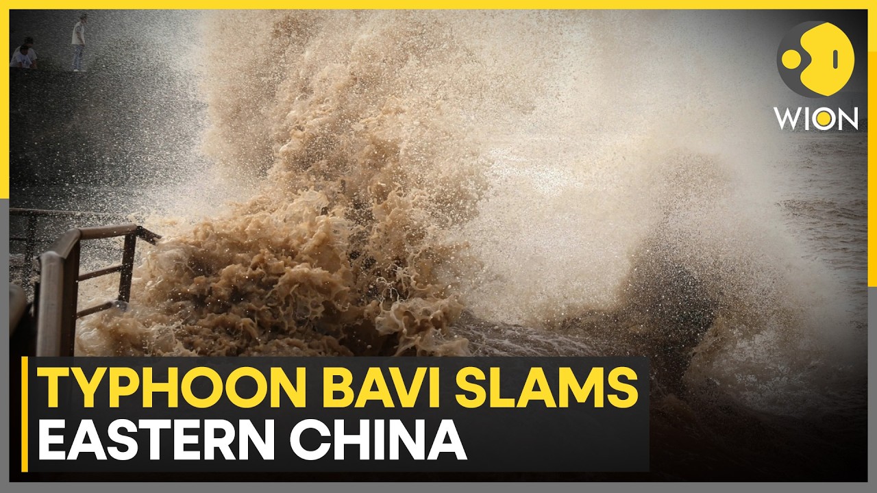 Typhoon Bavi: Eastern China Braces for Flash Floods After Bavi Landfall | WION