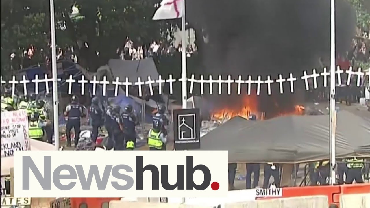 Parliament protest: Police officer reveals disgusting details one year on from riot | Newshub