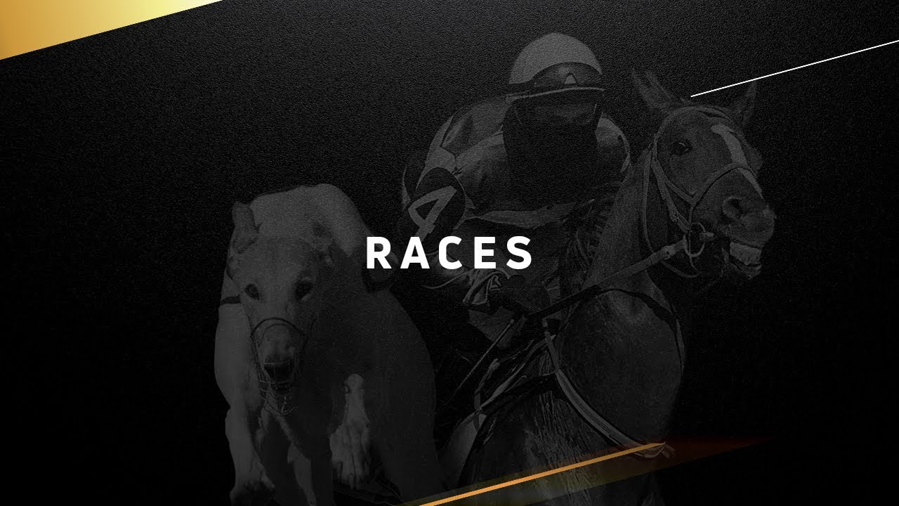 Horse & Dog Races 🏇 Virtual Sports Betting | GoldenRace