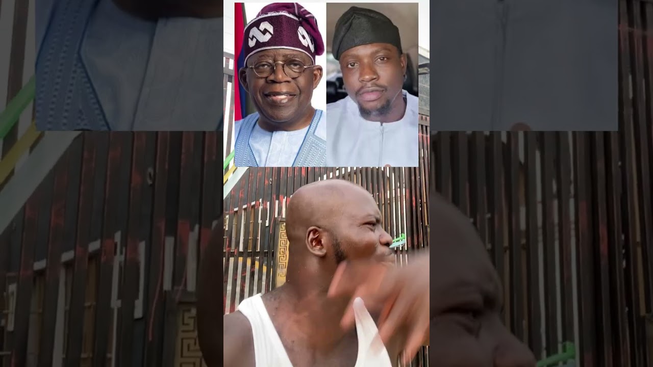 Сходства между vdm и tinubu