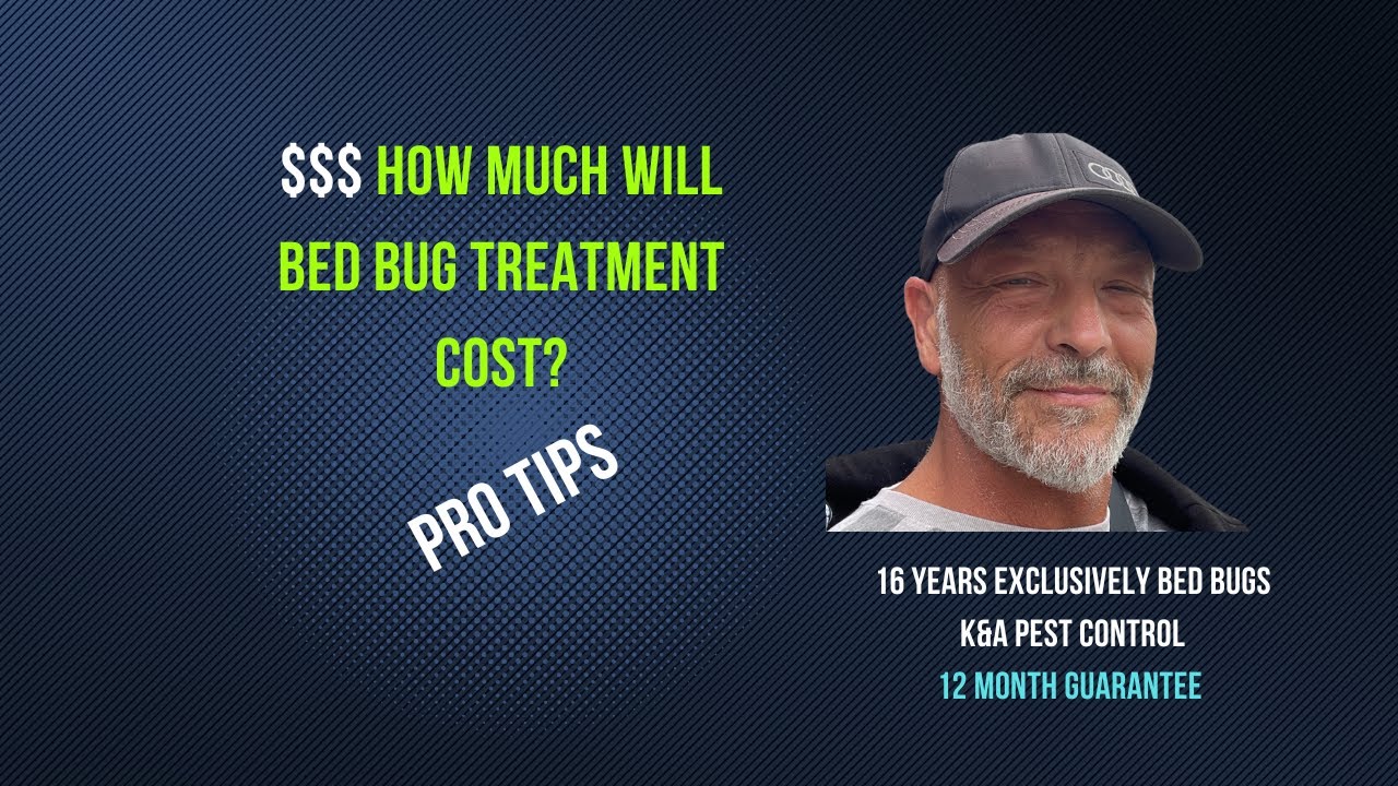 How Much Does Bed Bug Extermination Cost?